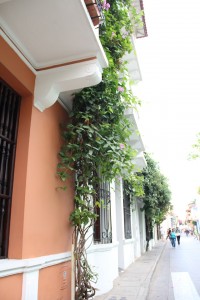 Fachadas coloridas Cidade Murada- Cartagena